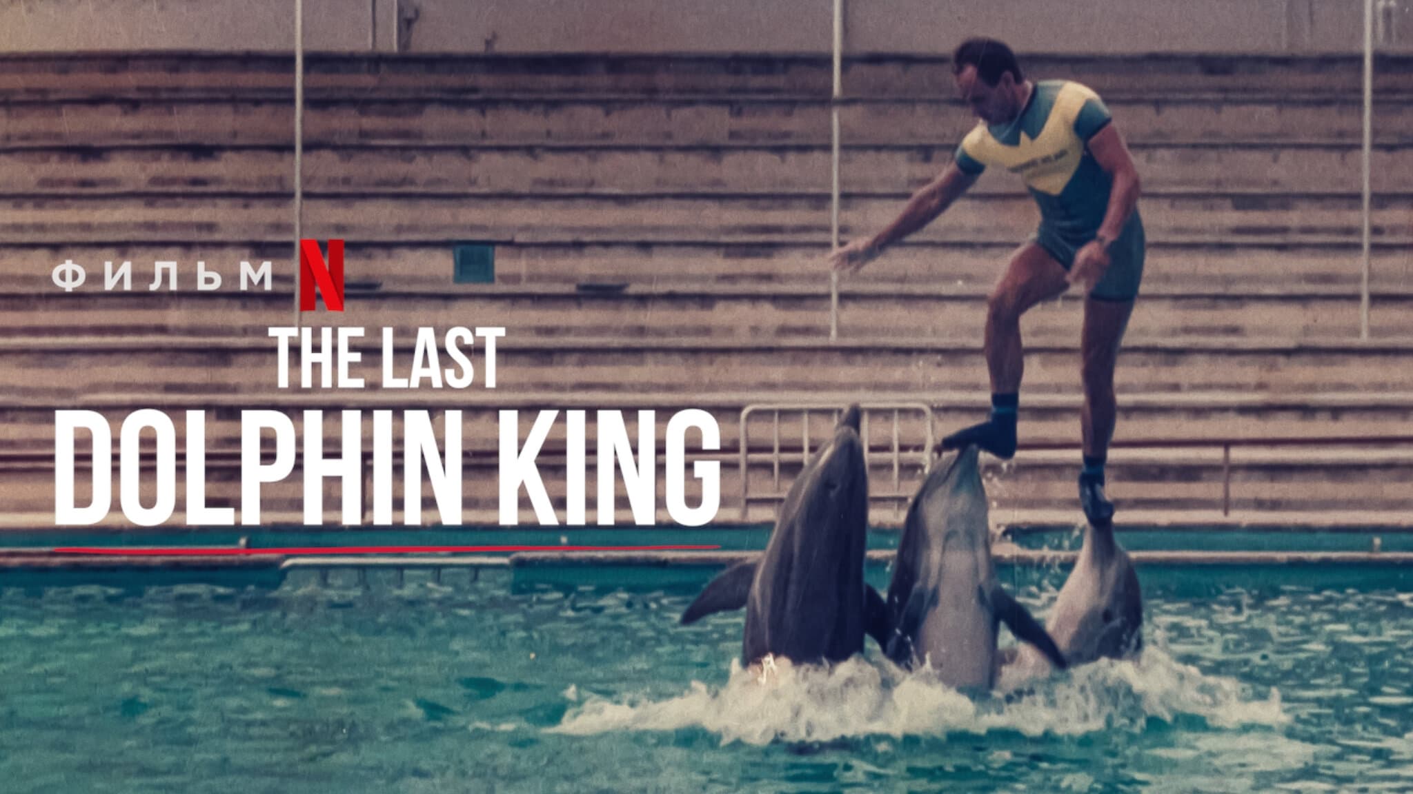 The Last Dolphin King 4