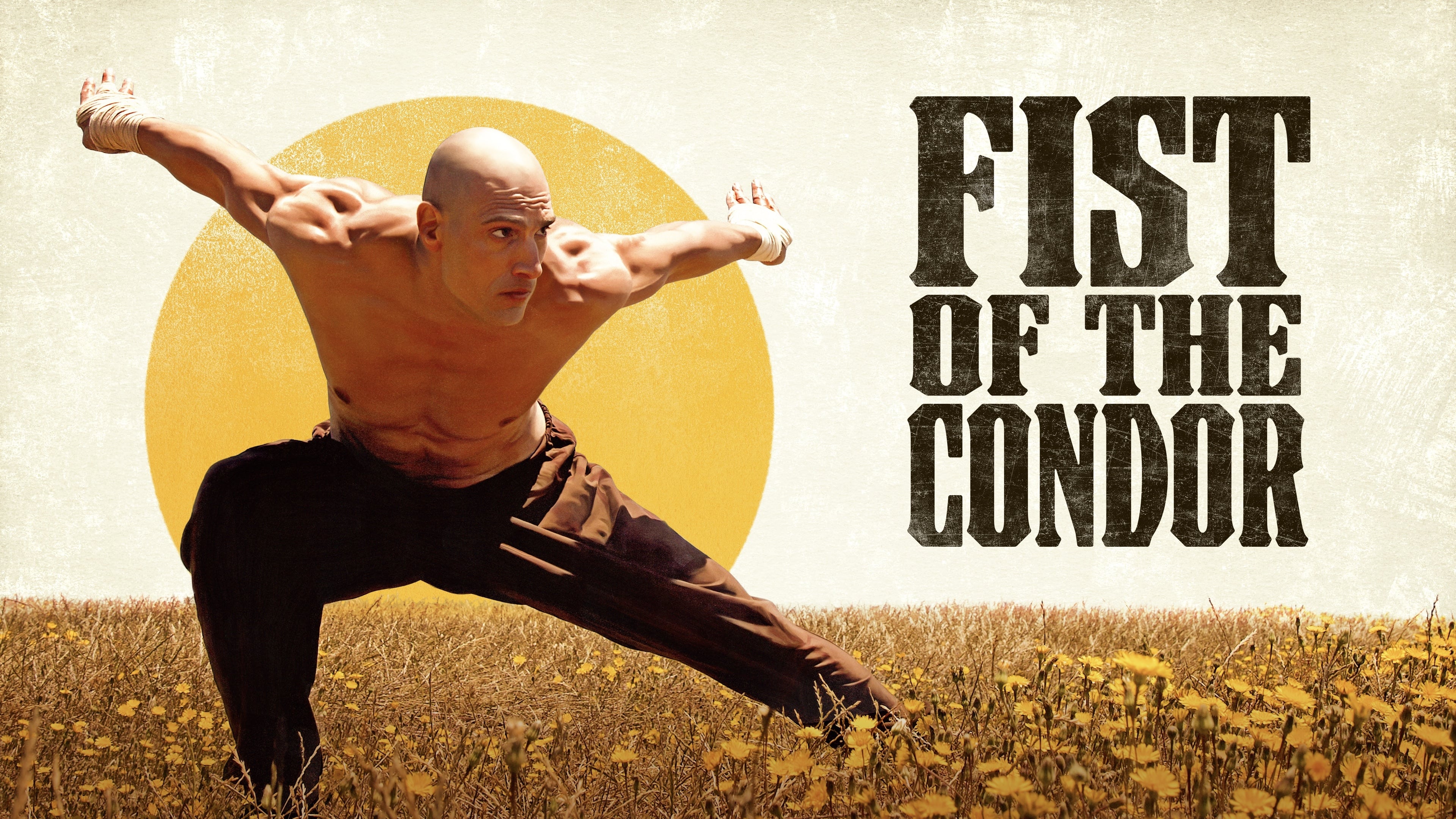 Fist of the Condor 2