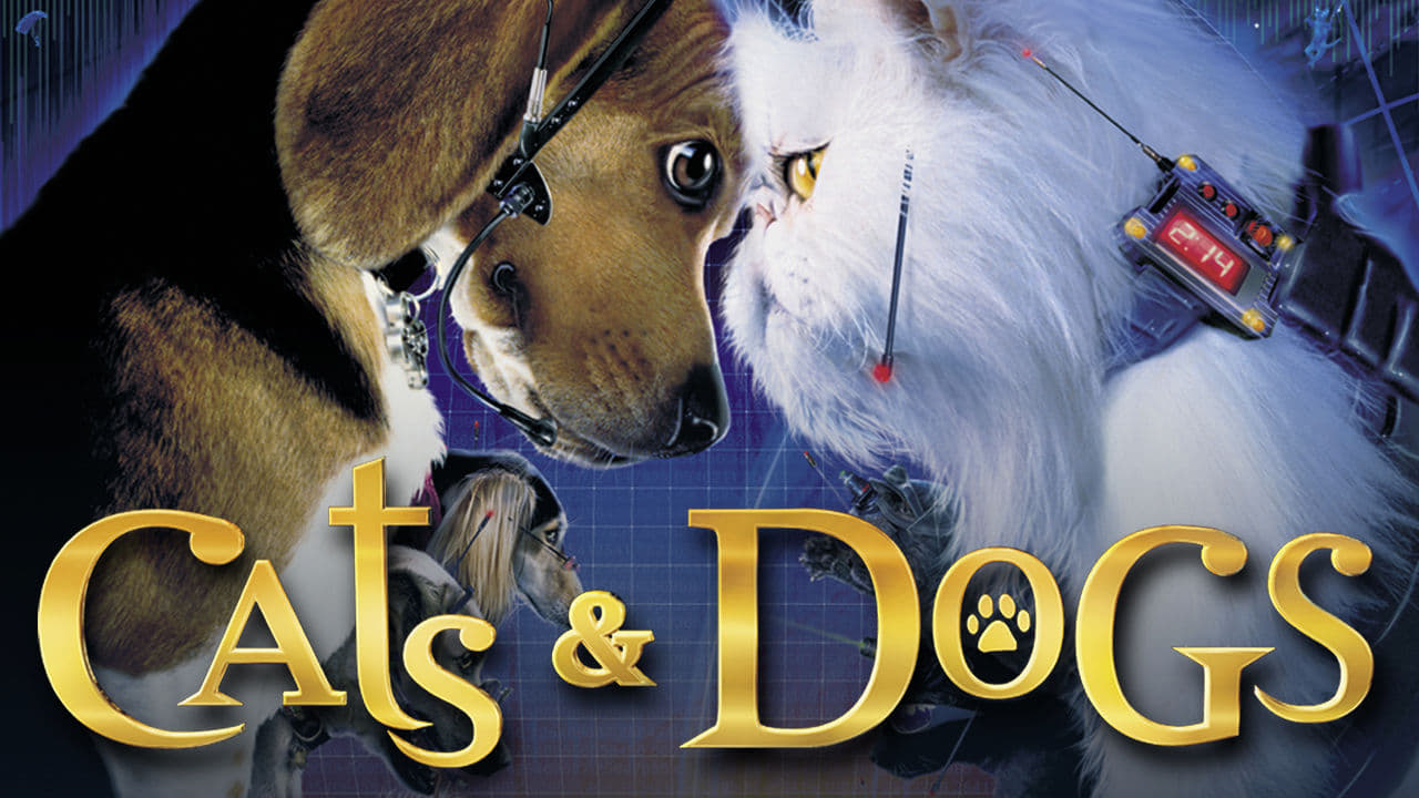 Cats & Dogs 1