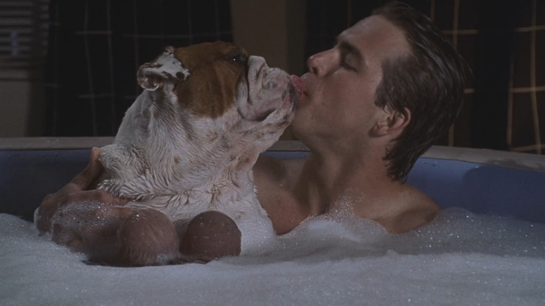 National Lampoon's Van Wilder 1