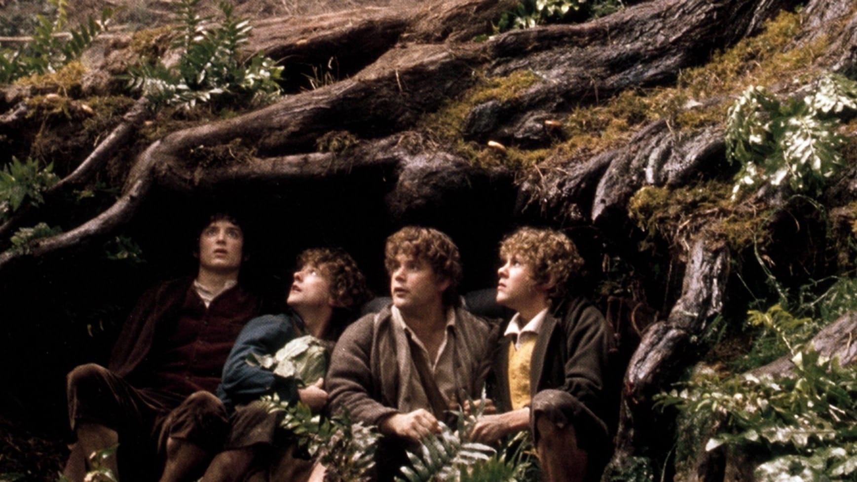 The Lord of the Rings: The Fellowship of the Ring (2001) (SUB) 3