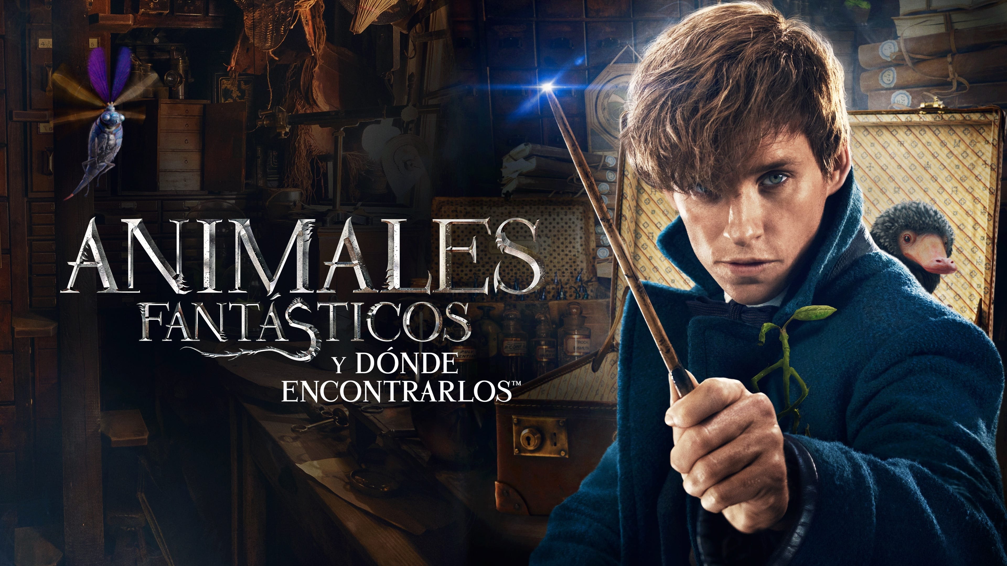 Fantastic Beasts and Where to Find Them 4