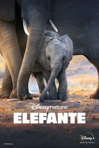 Manuel is stuck in a monotonous job, has only one friend that he cannot stand, and his family despises him. Everything will change when the doctor diagnoses him with a rare disease - Manuel is going to turn into an elephant.