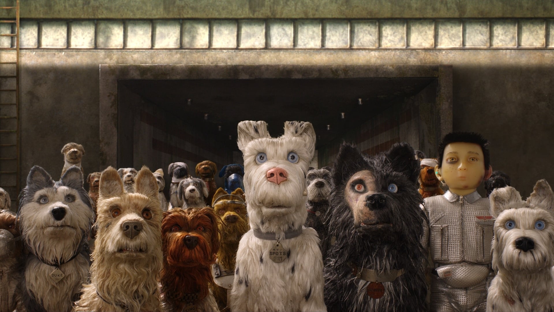 Isle of Dogs 0