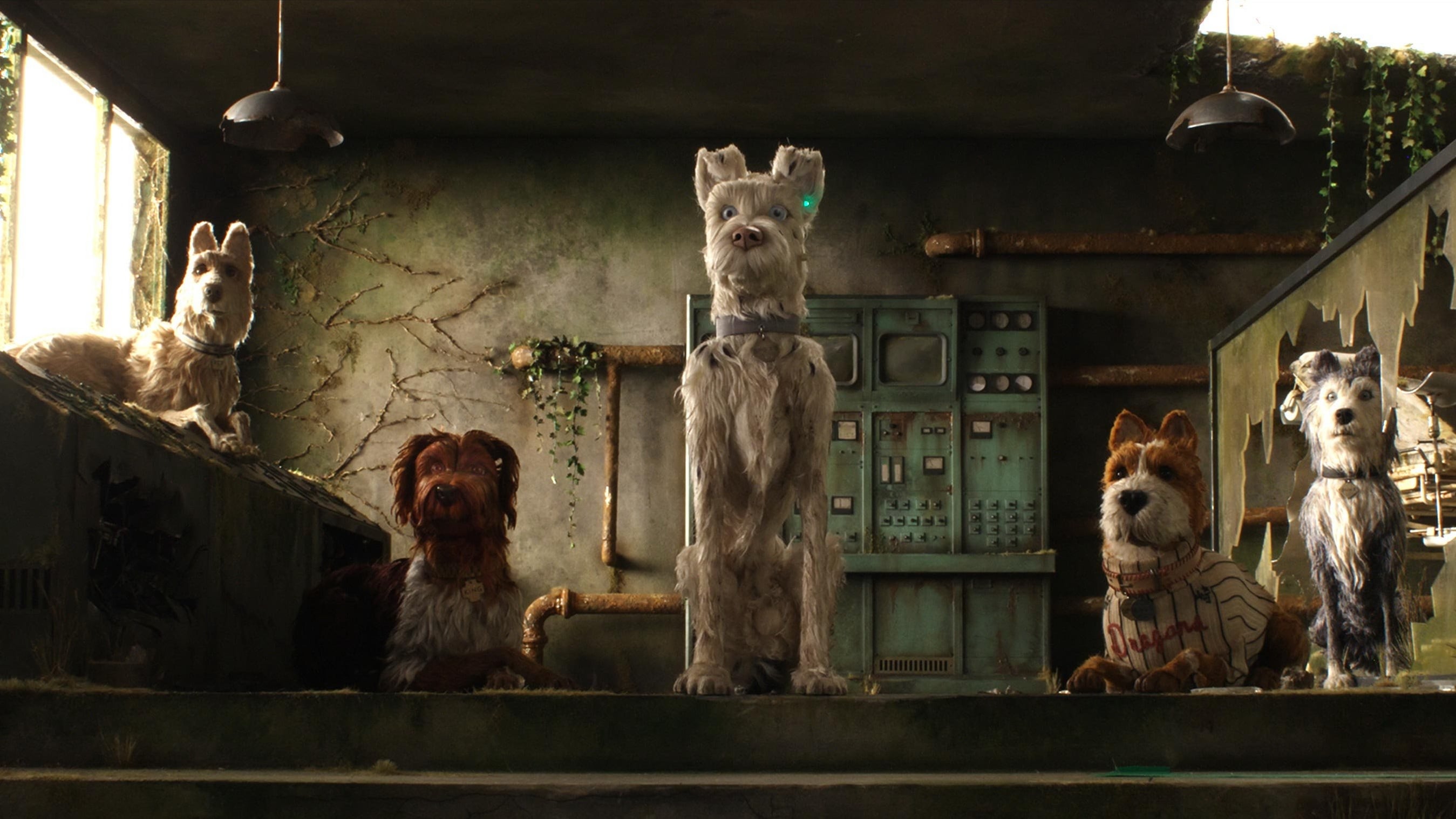 Isle of Dogs 1