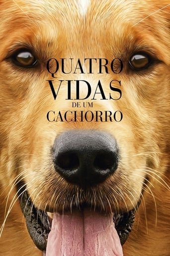 A dog goes on quest to discover his purpose in life over the course of several lifetimes with multiple owners.