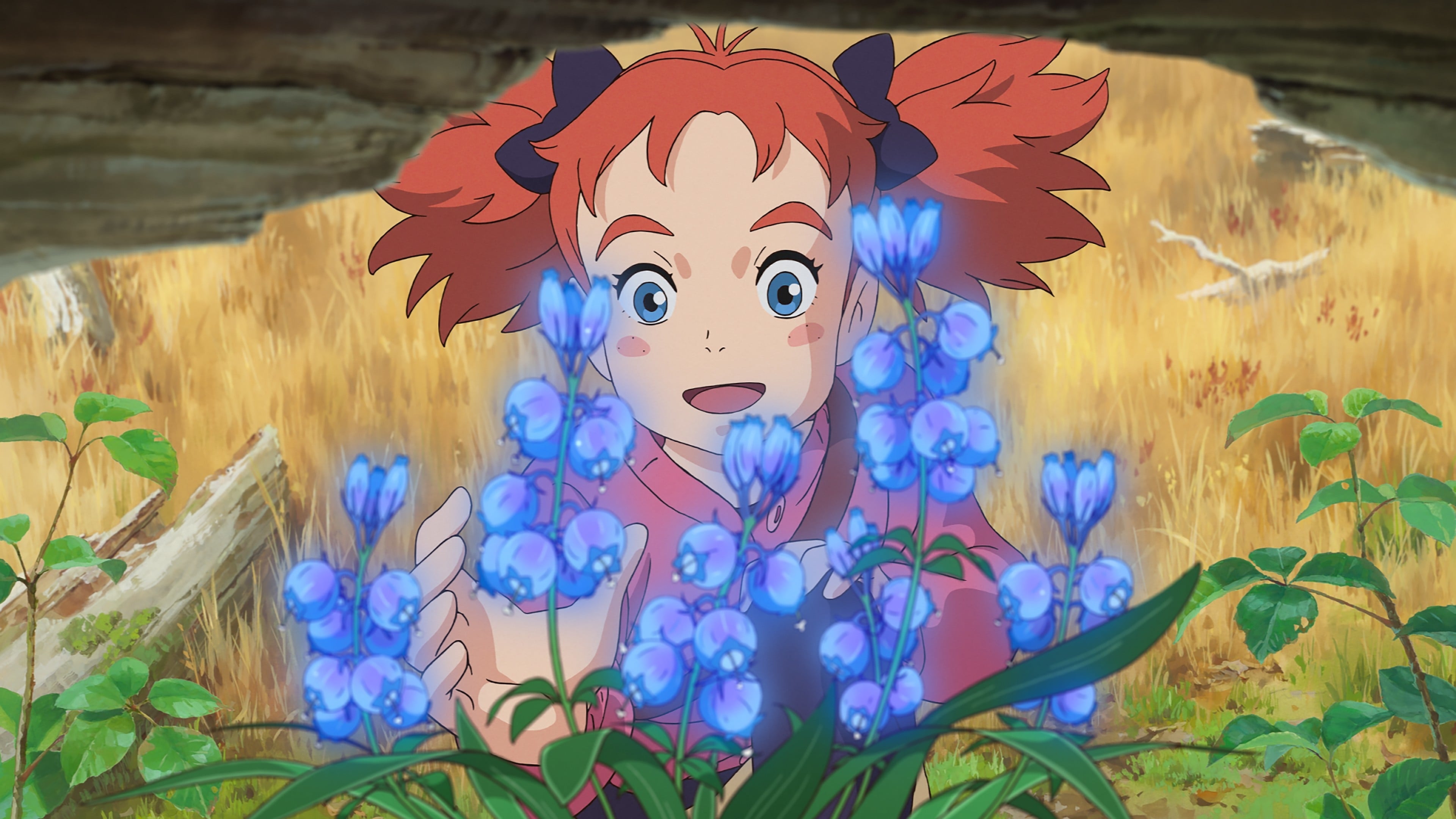 Mary and The Witch's Flower 1