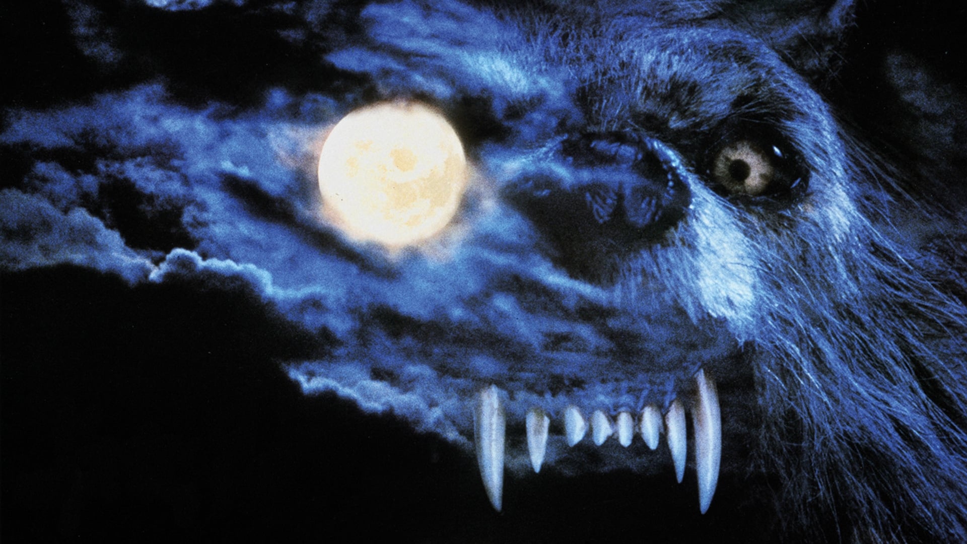 Bad Moon 1