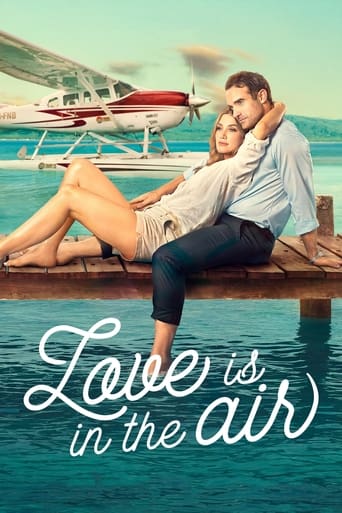 A fiercely independent pilot fighting to keep her family business afloat starts to fall for the man sent by corporate to ground her operation forever.