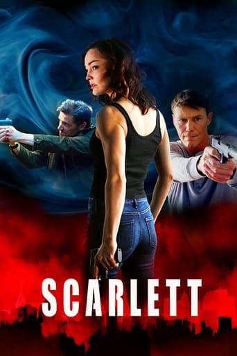 A college student must draw upon all the skills her spy-father taught her to protect herself and save her father from weapons dealers.