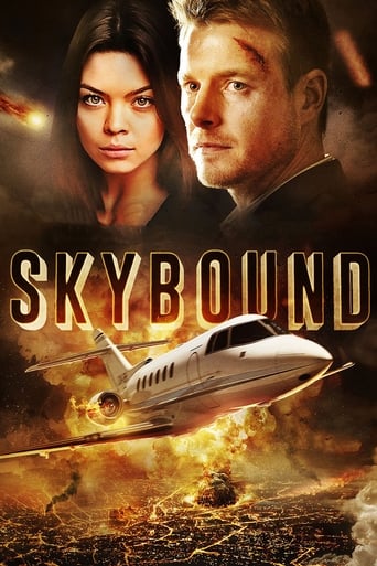 Five friends on a small airplane mysteriously lose their radio connection on a trip from New York to LA. As they continue their flight, they're forced to assume that a major disaster happened on the ground. They discover a stowaway, Erik, who urges them not to land at any cost. Before they run out of fuel, they must find out the truth.