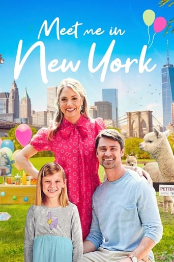 Ambitious New York events planner Kelly is one of the best in the business. But when Joe, a stubborn, but influential website editor, hires her to organize his niece's birthday, Kelly soon realizes that she may have met her match.
